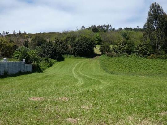 Otros en Asturias