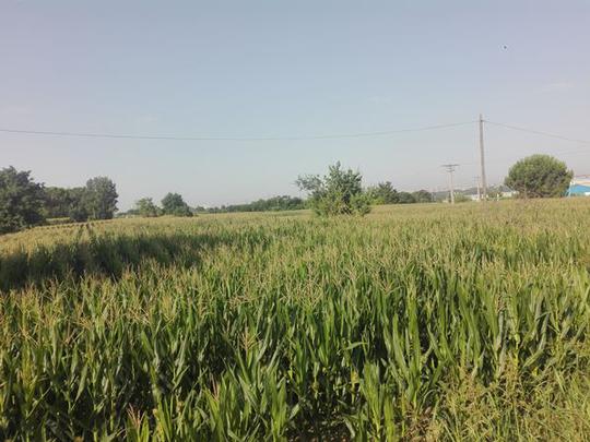 Finca rústica en Lerida