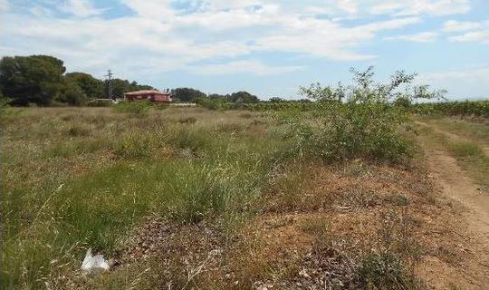 Finca rústica en Valencia