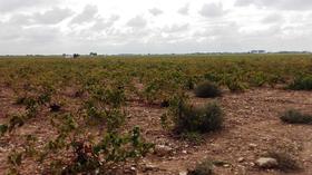 Finca rustica en Ciudad Real