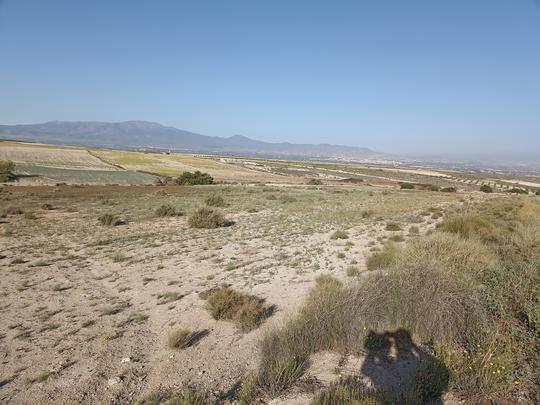 Finca rústica en Granada