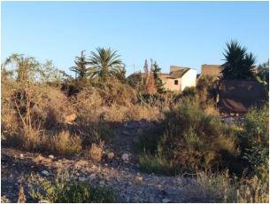 Finca rústica en Murcia