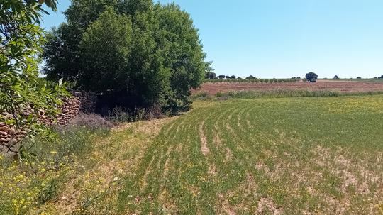 Finca rústica en Cuenca