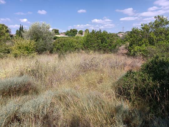 Finca rústica en Valencia