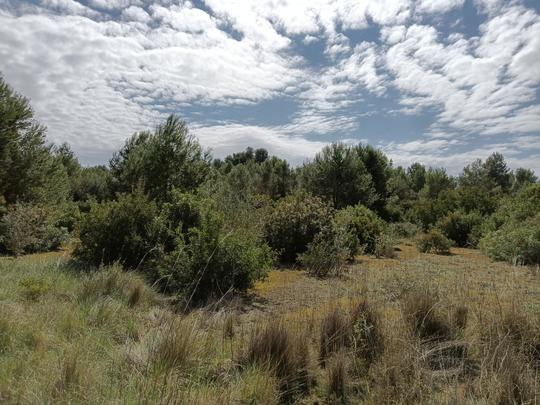 Finca rústica en Valencia