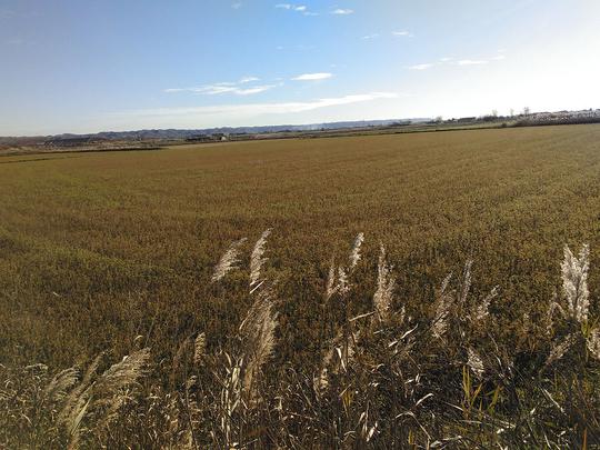 Finca rústica en Zaragoza