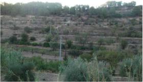 Finca rustica en Murcia