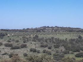 Finca rustica en Cordoba