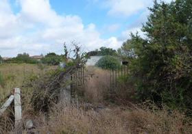 Finca rustica en Cadiz