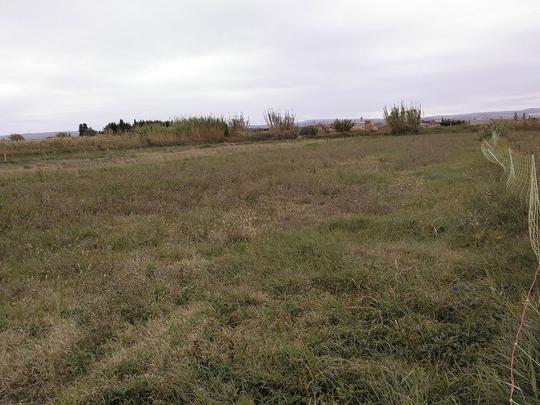 Finca rústica en Zaragoza