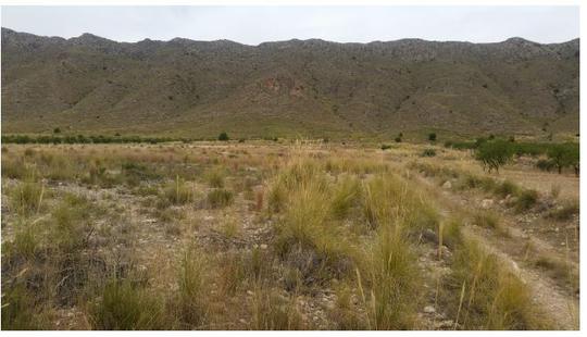Finca rústica en Murcia