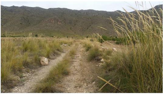 Finca rústica en Murcia