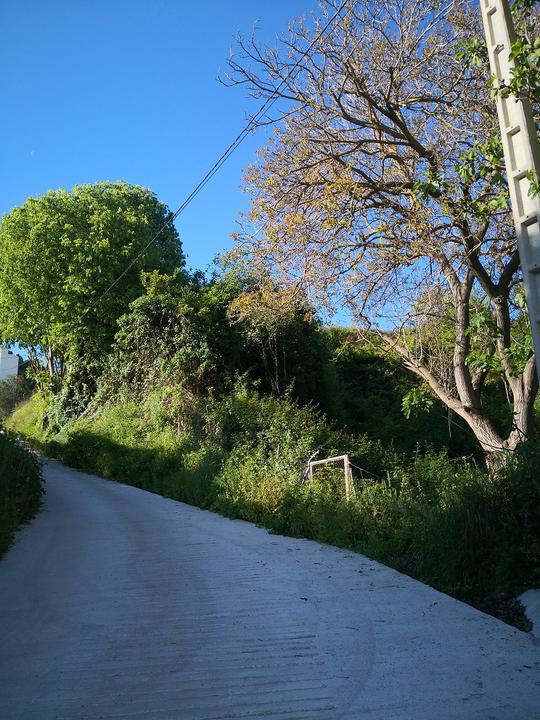 Finca rústica en Malaga