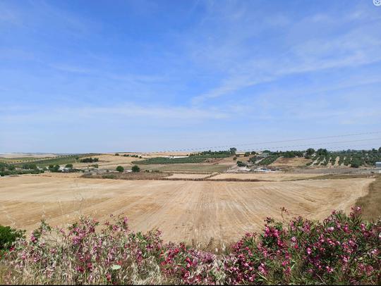 Finca rústica en Sevilla