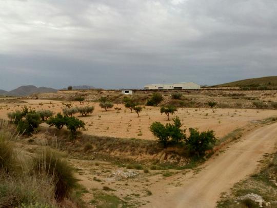 Finca rústica en Murcia