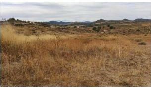 Finca rústica en Murcia