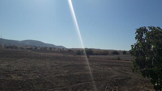 Finca rústica en Cadiz