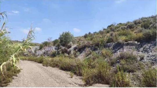 Finca rústica en Murcia