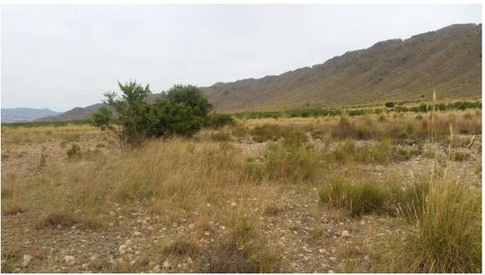Finca rústica en Murcia