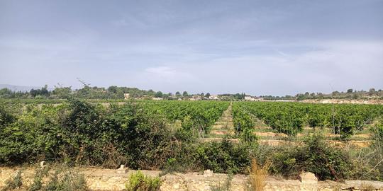 Finca rústica en Valencia/Valencia