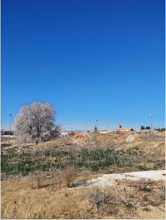 Solar en Toledo