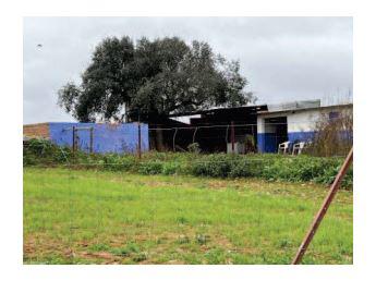 Nave industrial en Ciudad Real