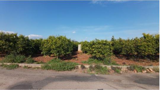 Finca rústica en Castellon