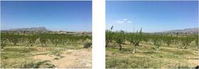 Finca rustica en Murcia