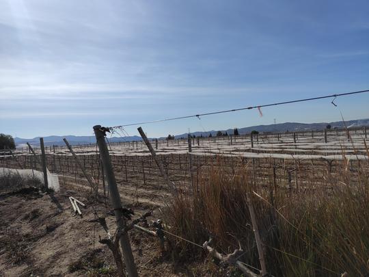 Finca rústica en Alicante