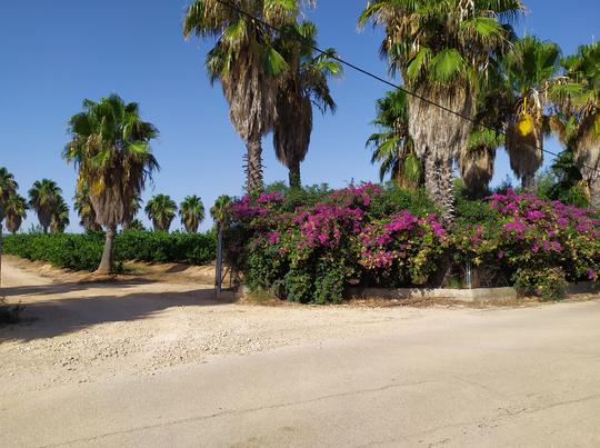 Solar en Valencia