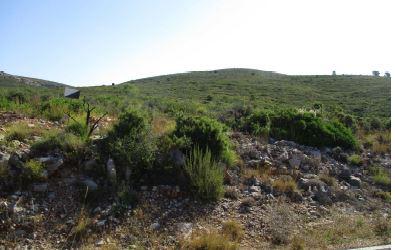 Finca rústica en Castellon