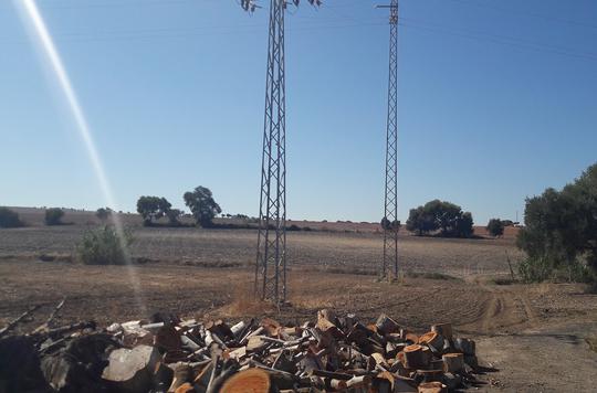 Finca rústica en Cadiz