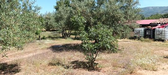 Finca rústica en Caceres