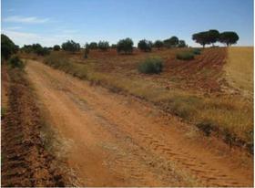 Finca rustica en Cuenca