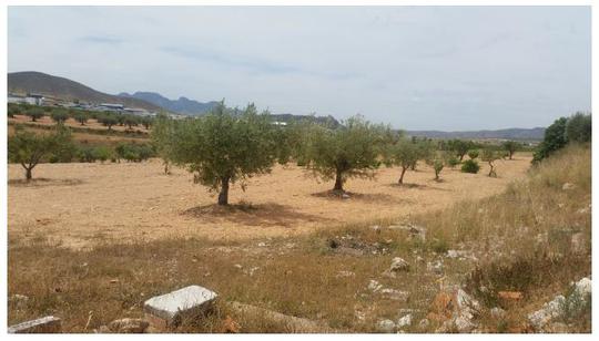 Finca rústica en Murcia