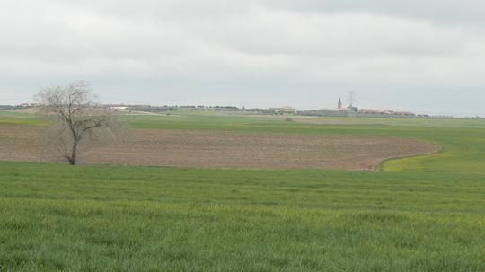 Finca rústica en Toledo