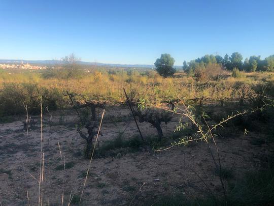 Finca rústica en Valencia