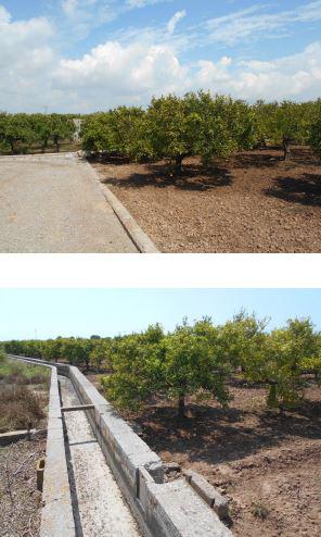 Finca rústica en Castellon