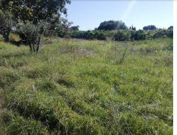 Finca rústica en Castellon