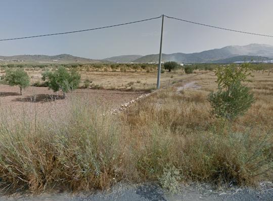 Finca rústica en Alicante