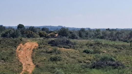 Finca rústica en Castellon/Castello