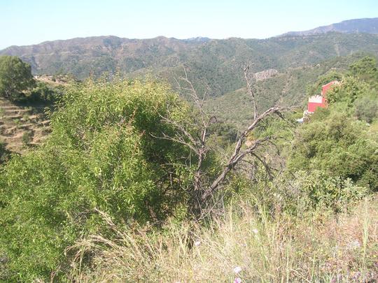 Finca rústica en Malaga