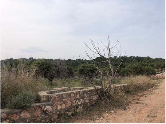 Finca rústica en Valencia