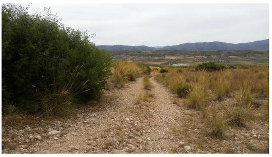 Finca rústica en Murcia