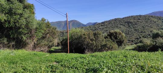 Finca rústica en Cadiz