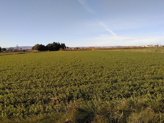 Finca rústica en Zaragoza