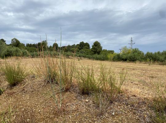 Finca rústica en Tarragona