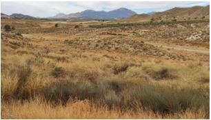 Finca rústica en Murcia