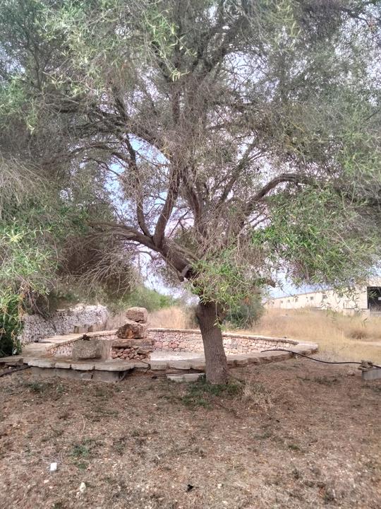 Finca rústica en Illes Balears