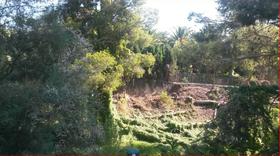 Finca rustica en Alicante